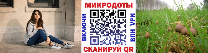 Галлюциногенные грибы Psilocybe  где продают наркотики  Богучар 