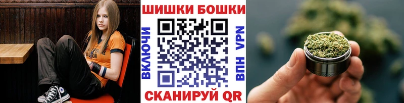 Конопля сатива  darknet наркотические препараты  Богучар  где можно купить  